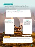 Miniatura página 141 de Ciencias Naturales – Cuarto Básico | Texto del Estudiante MINEDUC – Descargar PDF · 2024