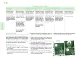 Miniatura página 57 de Posibilidades de trabajo para la acción transformadora y el codiseño. Ficheros. Fase 2  Libro de Educación Preescolar Grado 1°, 2°, 3°  Ciclo Escolar 2025 - 2026