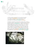 Miniatura página 47 de Colección Sk´asolil. Múltiples lenguajes.   Libro de Educación Telesecundaria Grado 2°  Ciclo Escolar 2025 - 2026