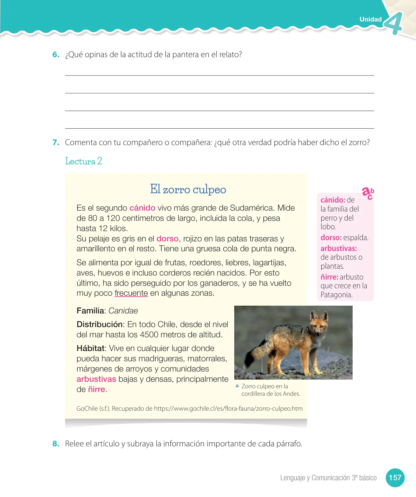 Miniatura página 159 de Lenguaje y Comunicación – Tercero Básico | Texto del Estudiante MINEDUC – Descargar PDF · 2024