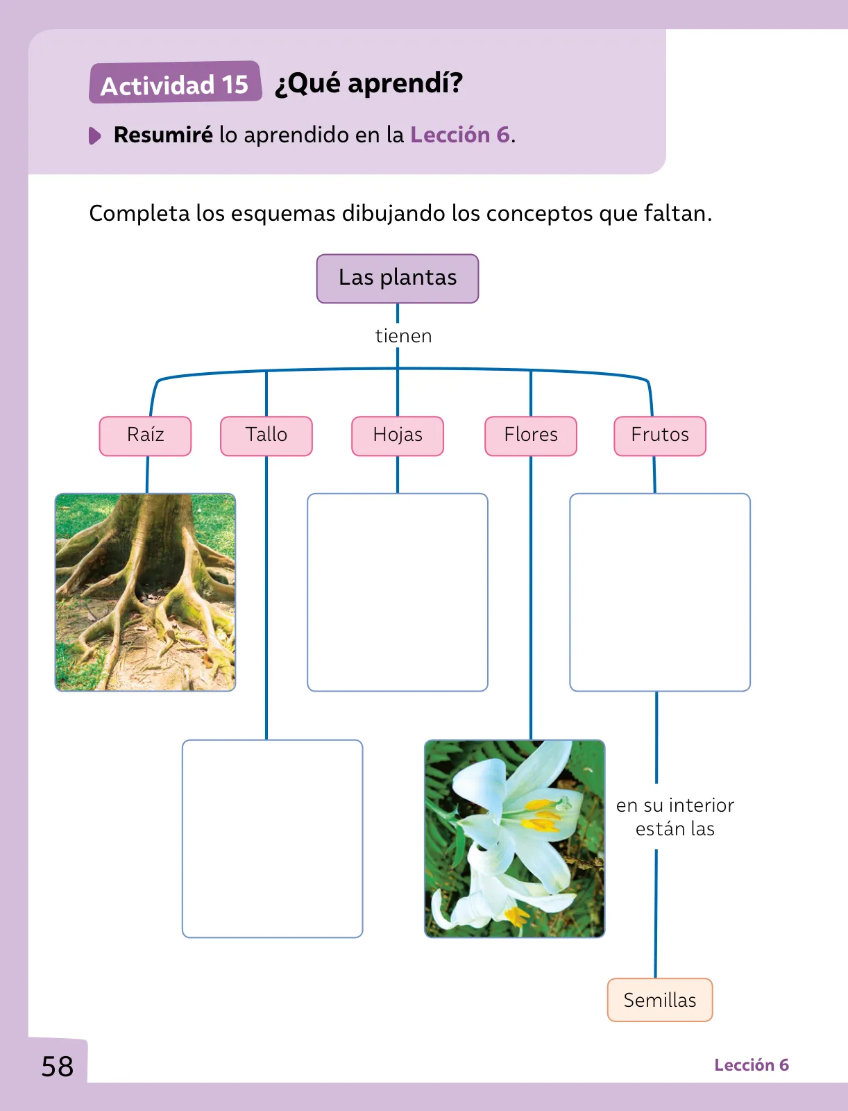 Página 59 de Ciencias Naturales – Primero Básico | Texto del Estudiante (MINEDUC) – Descargar PDF · 2024