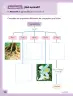 Miniatura página 59 de Ciencias Naturales – Primero Básico | Texto del Estudiante (MINEDUC) – Descargar PDF · 2024