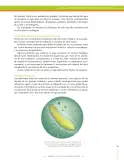 Miniatura página 289 de Ciencias Naturales 9° · Secundaria Activa