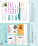 Miniatura página 82 de Lenguaje y Comunicación – Segundo Básico – Texto del Estudiante MINEDUC – Descargar PDF · 2024