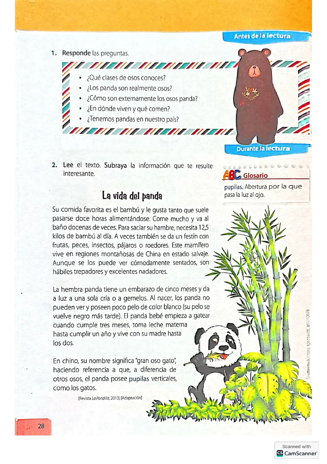 Página 28 de Lengua Y Literatura · 4 EGB · 2024