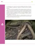 Miniatura página 193 de Colección Ximhai. Ética, naturaleza y sociedades.   Libro de Educación Secundaria Grado 1°  Ciclo Escolar 2025 - 2026