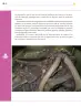 Miniatura página 193 de Colección Ximhai. Ética, naturaleza y sociedades.   Libro de Educación Secundaria Grado 1°  Ciclo Escolar 2025 - 2026