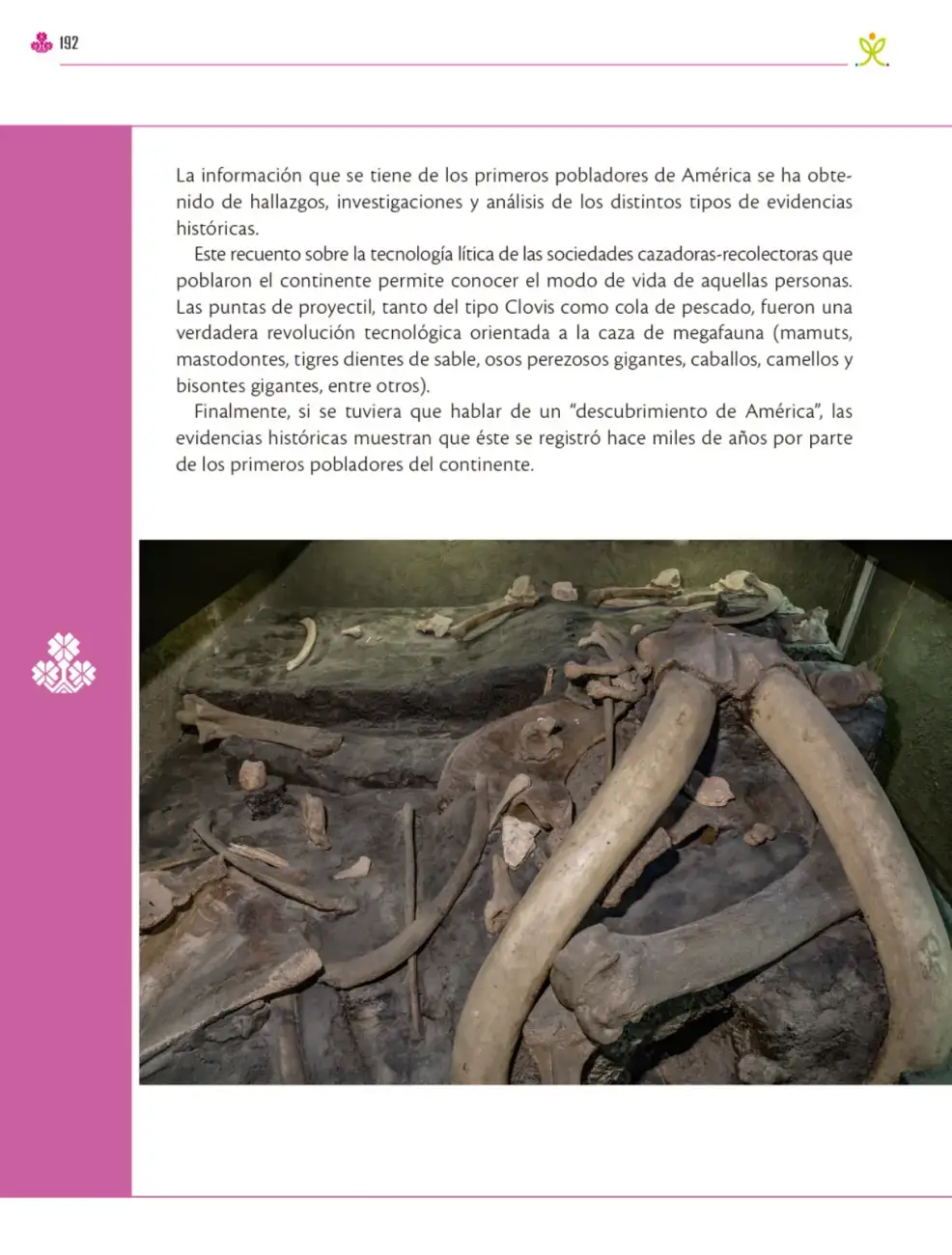 Página 193
