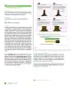 Miniatura página 50 de Sumo Primero – Cuarto Básico | Texto del Estudiante MINEDUC – Descargar PDF · 2024