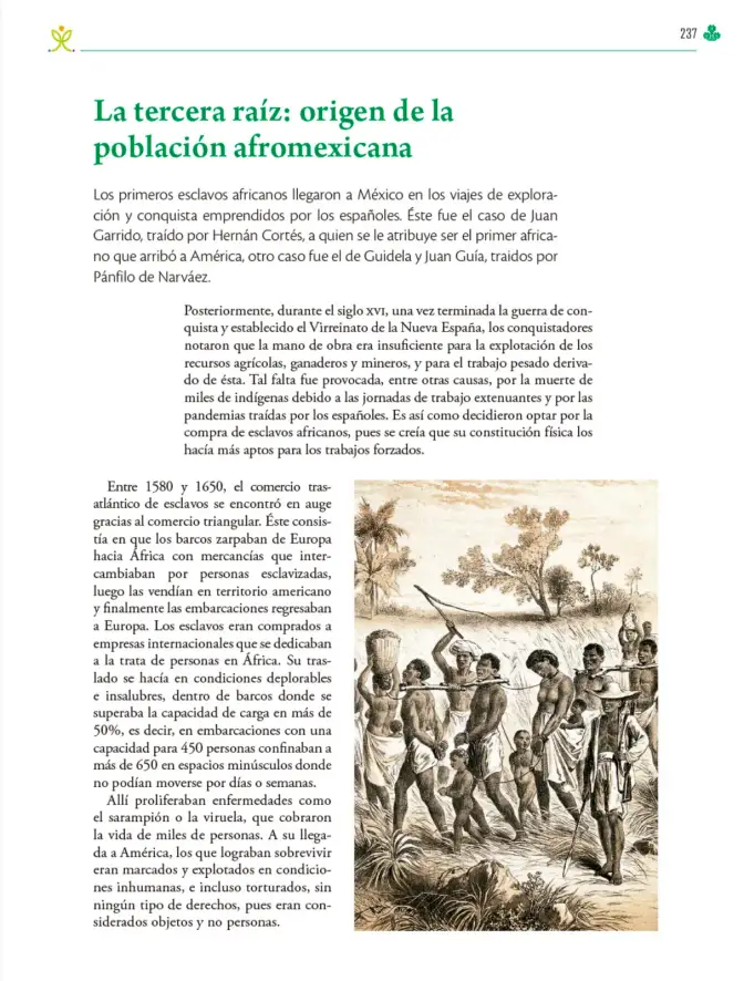 Página 238 de Colección Ximhai. Ética, naturaleza y sociedades. Libro de Educación Telesecundaria Grado 1° Ciclo Escolar 2025 - 2026