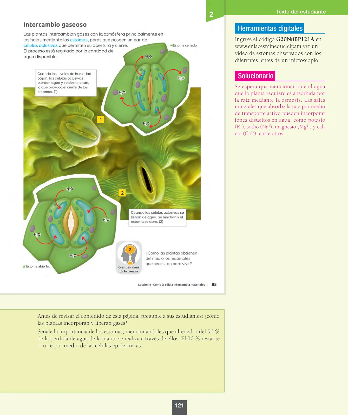 Página 122 de Ciencias Naturales – Octavo Básico | Texto del Estudiante MINEDUC – Descargar PDF · 2024