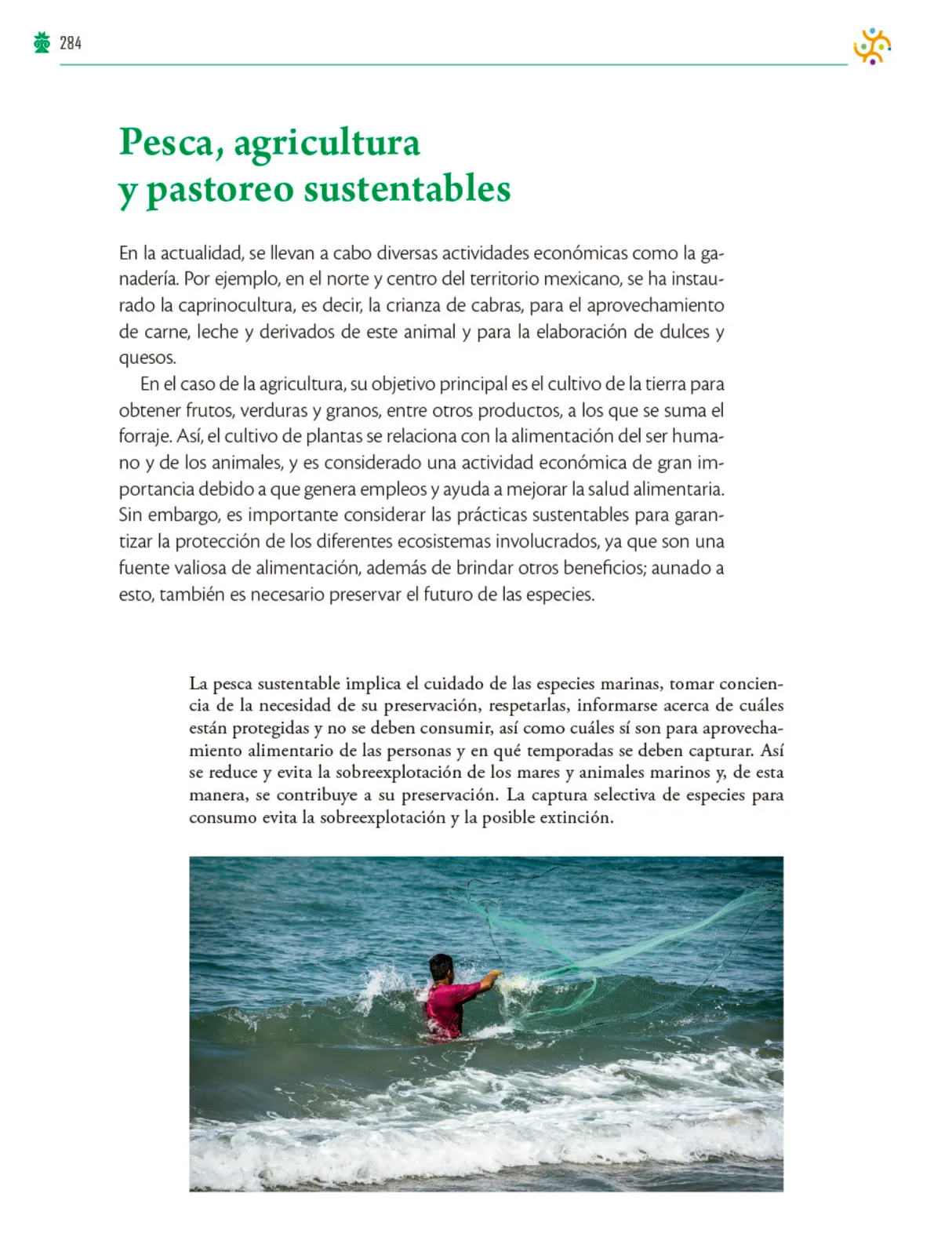 Página 285 de Colección Ximhai. Saberes y pensamiento científico. Libro de Educación Telesecundaria Grado 1° Ciclo Escolar 2025 - 2026