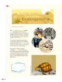 Miniatura página 33 de Uérakua anapu uantakua. Projects and Readings.  Libro de Educación Telesecundaria Grado 3°  Ciclo Escolar 2025 - 2026