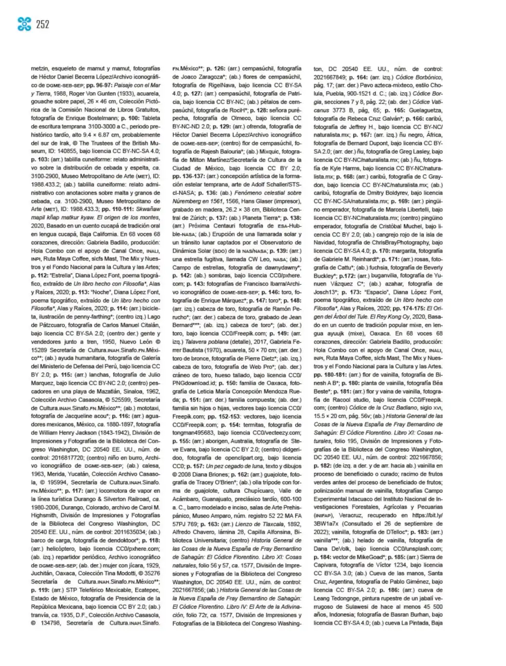 Página 253