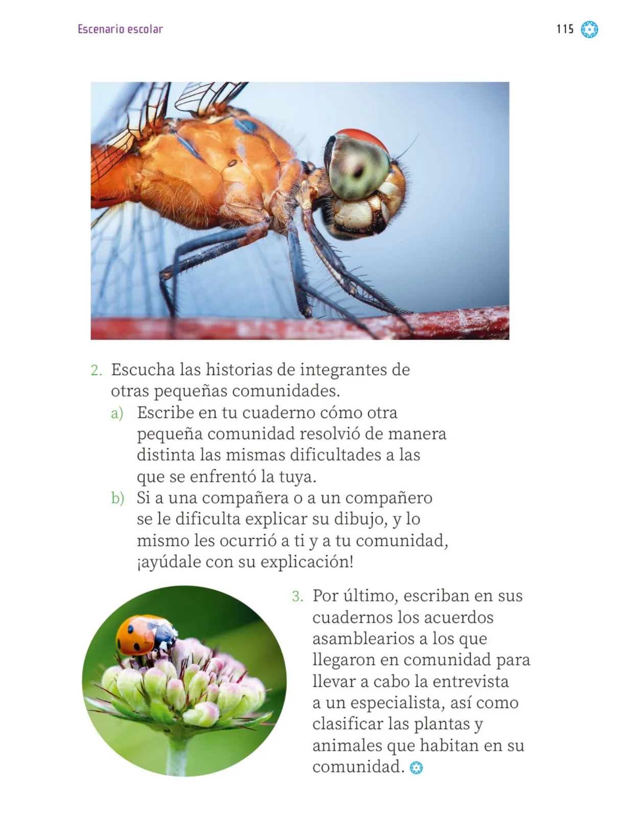 Pág 118