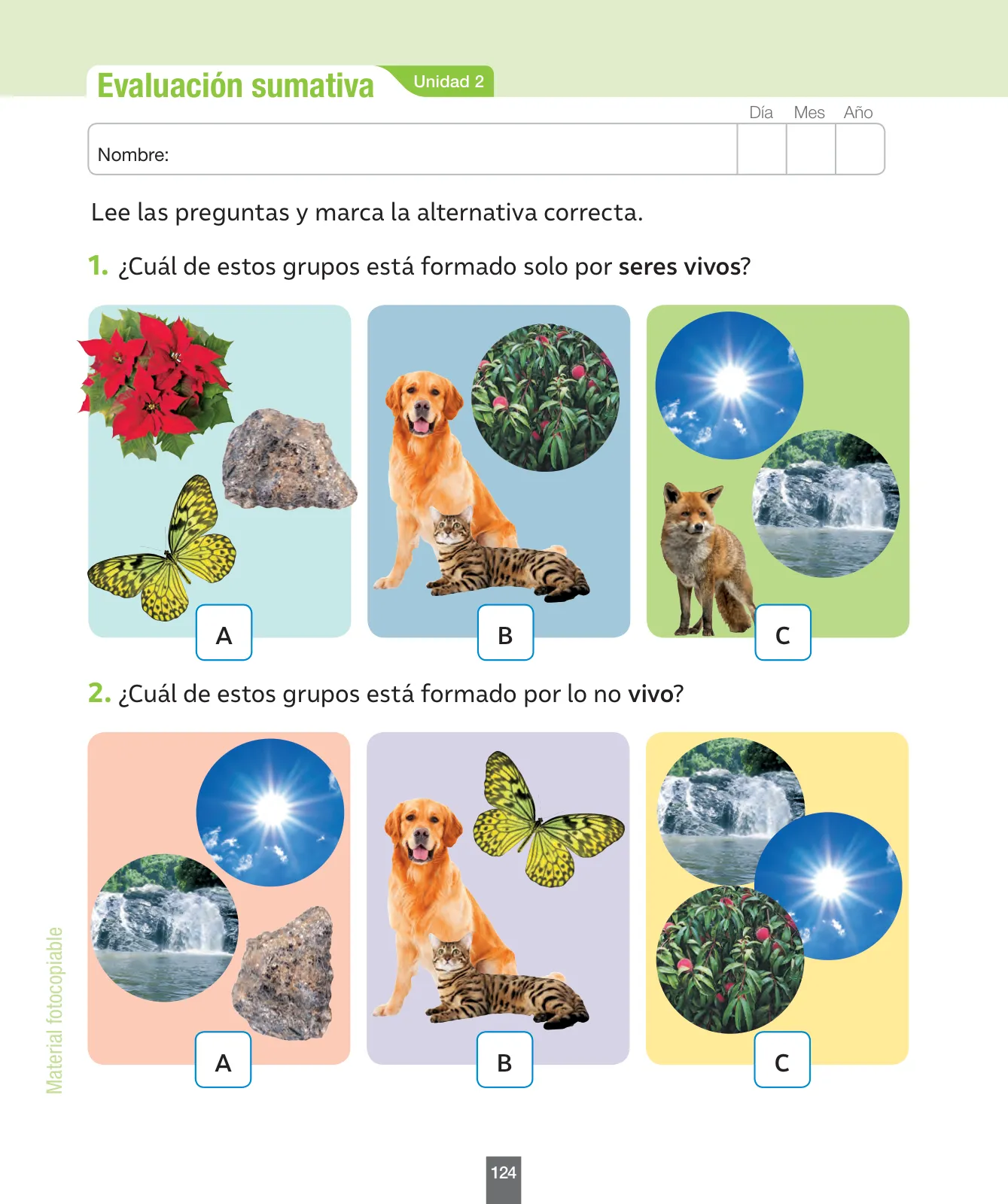 Página 125 de Ciencias Naturales – Primero Básico | Texto del Estudiante (MINEDUC) – Descargar PDF · 2024
