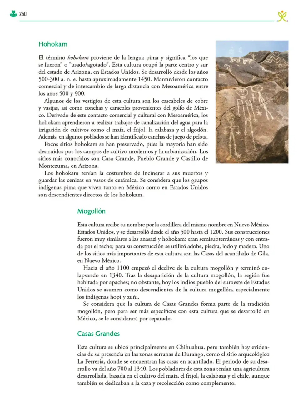 Página 251