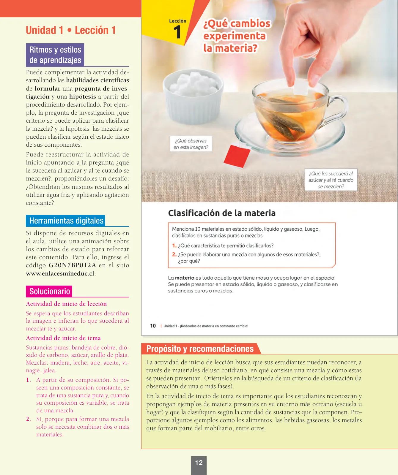Miniatura página 13 de Ciencias Naturales – Séptimo Básico | Texto del Estudiante MINEDUC – Descargar PDF · 2024