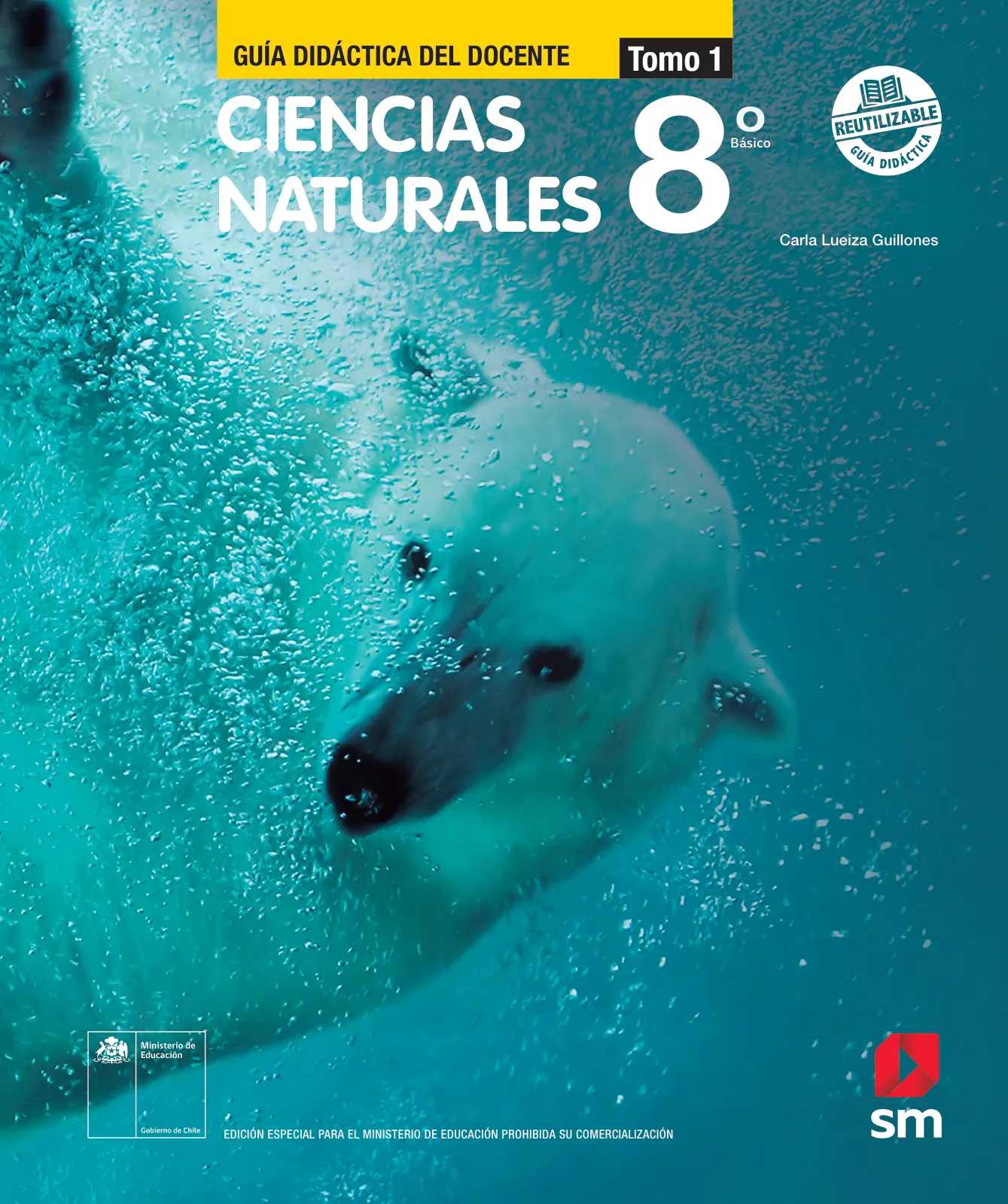 Portada de Ciencias Naturales – Octavo Básico | Texto del Estudiante MINEDUC – Descargar PDF · 2024