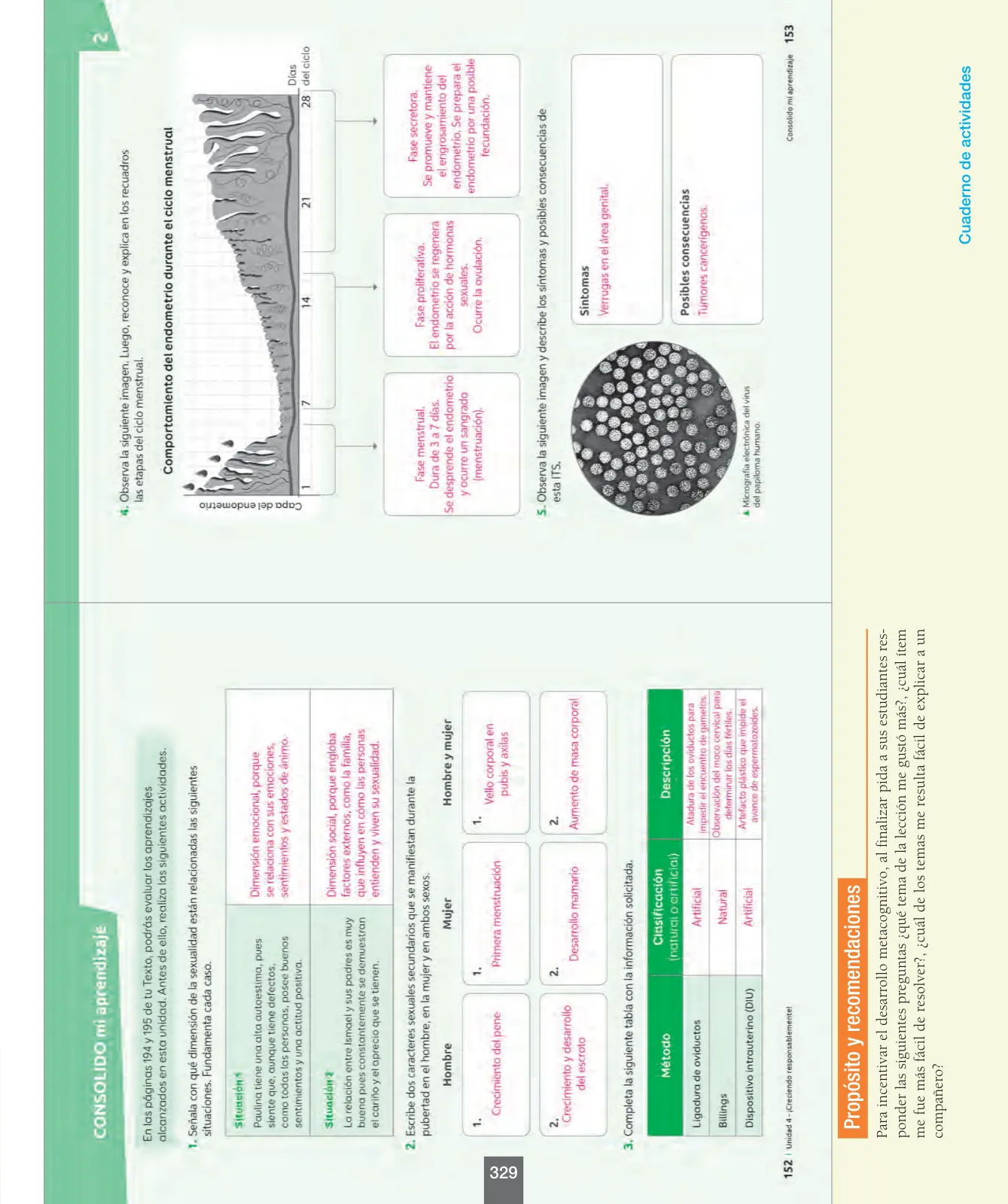 Miniatura página 154 de Ciencias Naturales – Séptimo Básico | Texto del Estudiante MINEDUC – Descargar PDF · 2024