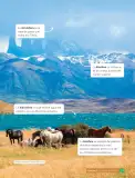 Miniatura página 53 de Libro de Ciencias Naturales – Quinto Básico | Texto del Estudiante MINEDUC – Descargar PDF · 2024