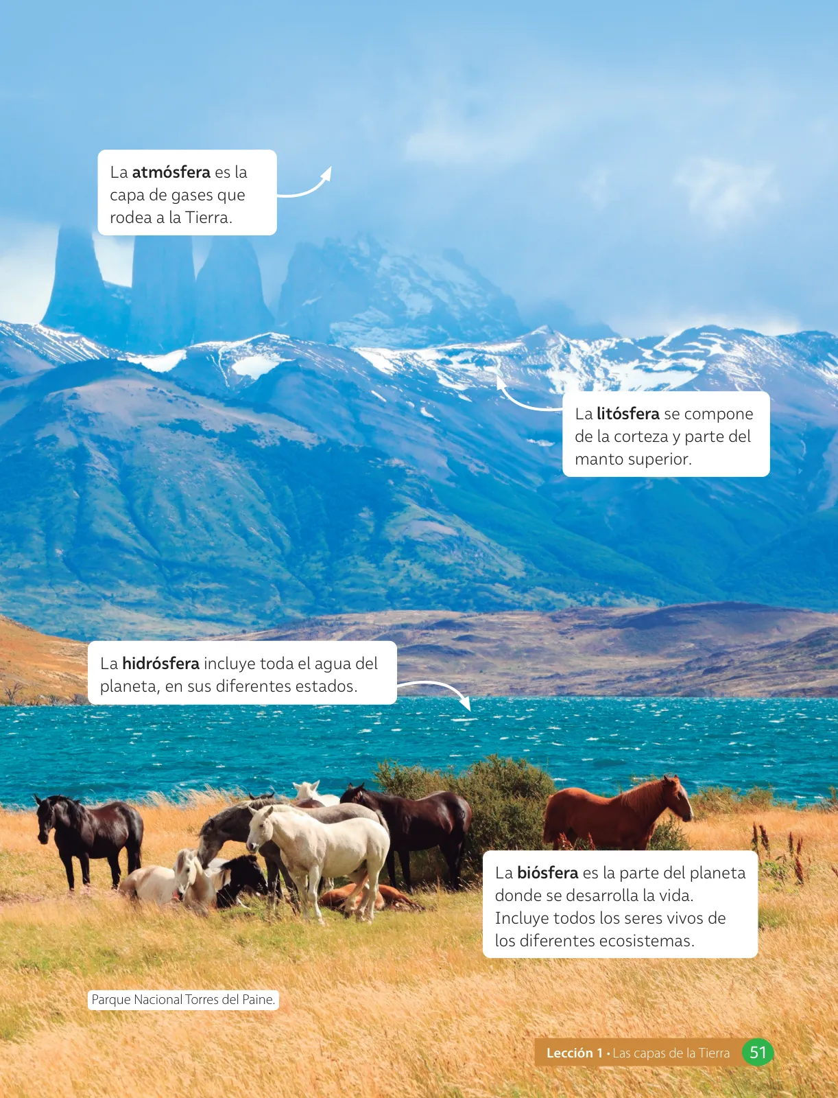 Miniatura página 53 de Libro de Ciencias Naturales – Quinto Básico | Texto del Estudiante MINEDUC – Descargar PDF · 2024