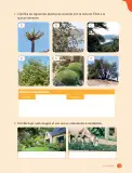 Miniatura página 131 de Ciencias Naturales – Tercero Básico | Texto del Estudiante MINEDUC – Descargar PDF · 2024