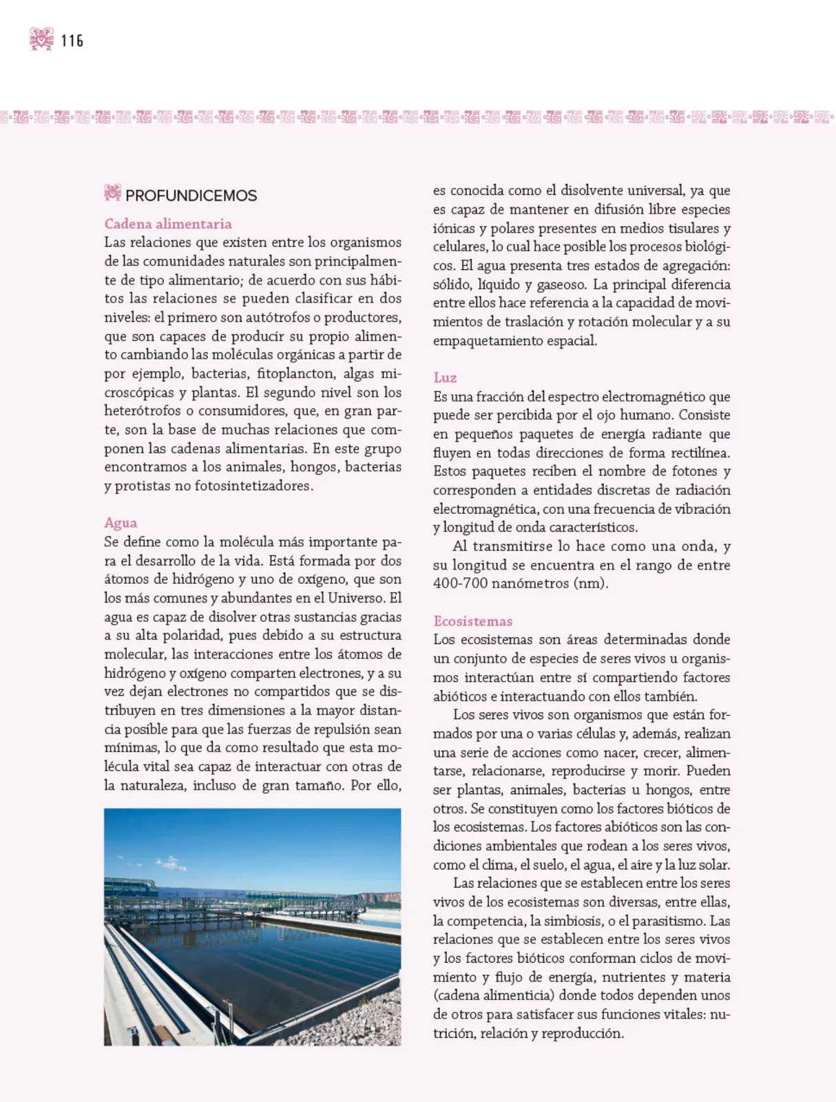 Miniatura página 117 de Nuestros saberes: Libro para alumnos, maestros y familia.   Libro de Educación Primaria Grado 3°  Ciclo Escolar 2025 - 2026