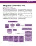 Miniatura página 82 de Ciencias Naturales 8° · Secundaria Activa