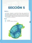 Pág 58