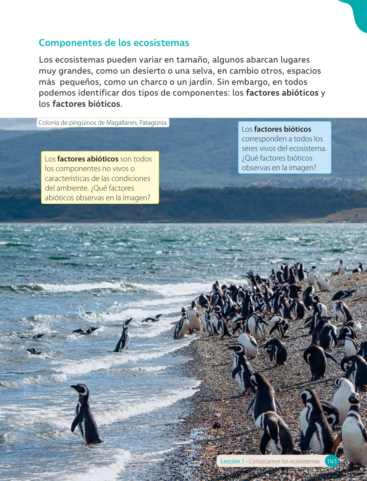 Miniatura página 143 de Ciencias Naturales – Cuarto Básico | Texto del Estudiante MINEDUC – Descargar PDF · 2024
