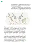 Miniatura página 117 de Colección Nanahuatzin. Múltiples lenguajes.  Libro de Educación Telesecundaria Grado 3°  Ciclo Escolar 2025 - 2026