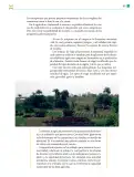 Miniatura página 164 de Colección Nanahuatzin. De lo humano y lo comunitario.   Libro de Educación Telesecundaria Grado 3°  Ciclo Escolar 2025 - 2026