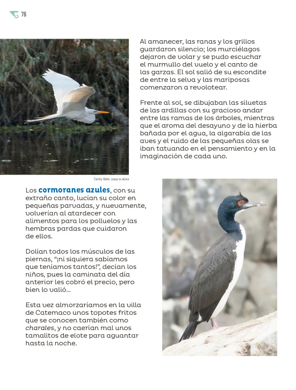 Página 77 de Múltiples lenguajes. Libro de Educación Primaria Grado 6° Ciclo Escolar 2025 - 2026