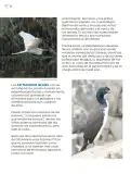 Miniatura página 77 de Múltiples lenguajes.   Libro de Educación Primaria Grado 6°  Ciclo Escolar 2025 - 2026
