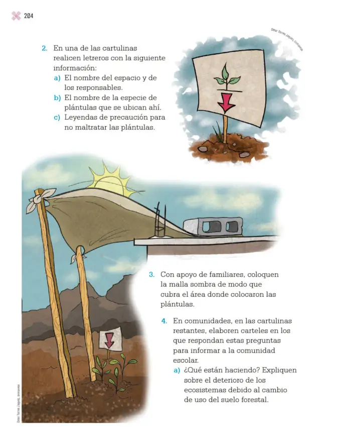 Página 207 de Proyectos Escolares. Libro de Educación Primaria Grado 4° Ciclo Escolar 2025 - 2026