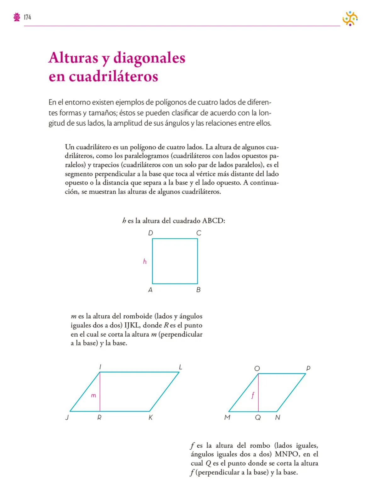 Miniatura página 175 de Colección Ximhai. Saberes y pensamiento científico.   Libro de Educación Secundaria Grado 1°  Ciclo Escolar 2025 - 2026