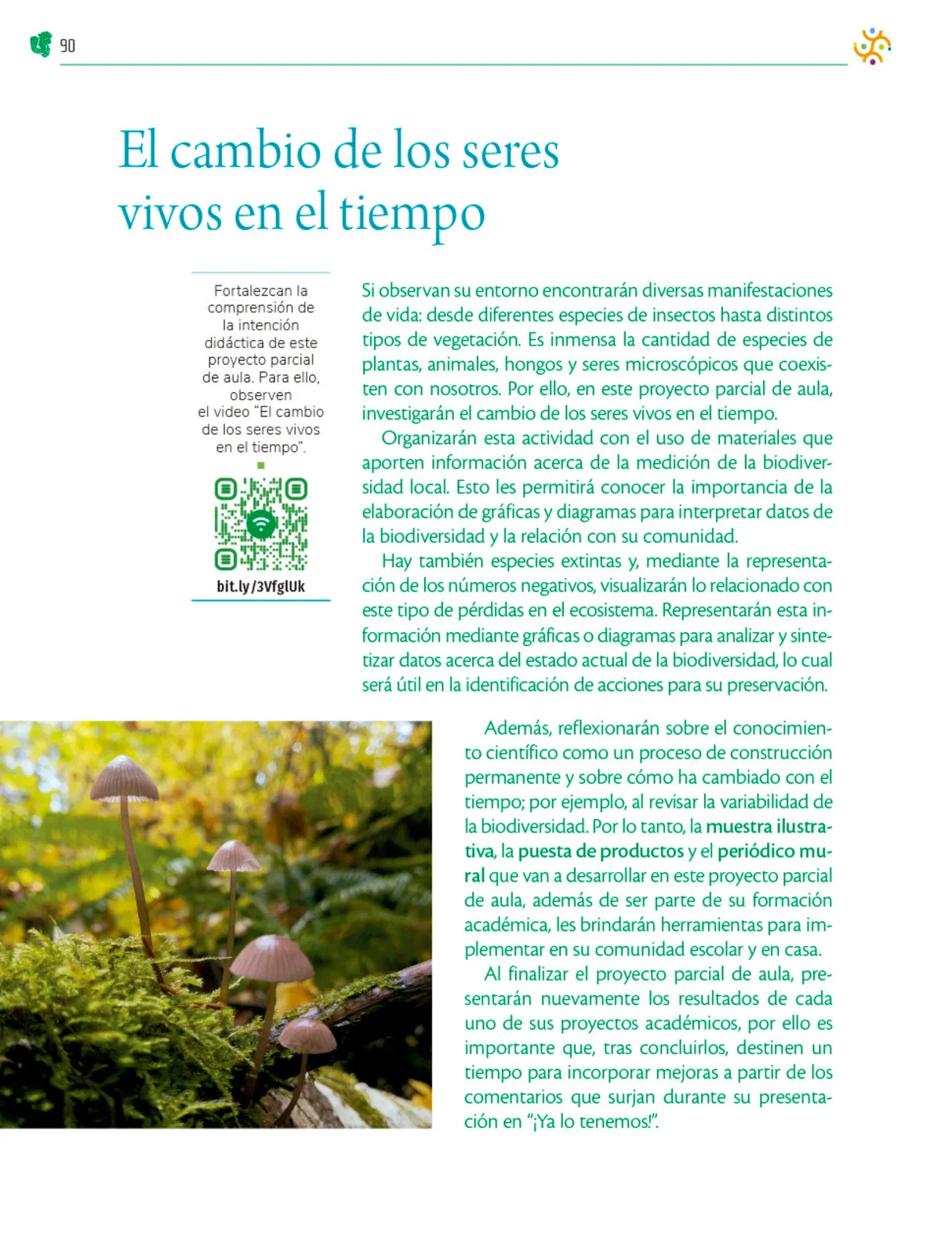 Miniatura página 91 de Colección Ximhai. Nuestro libro de Proyectos.  Tomo II.   Libro de Educación Telesecundaria Grado 1°  Ciclo Escolar 2025 - 2026