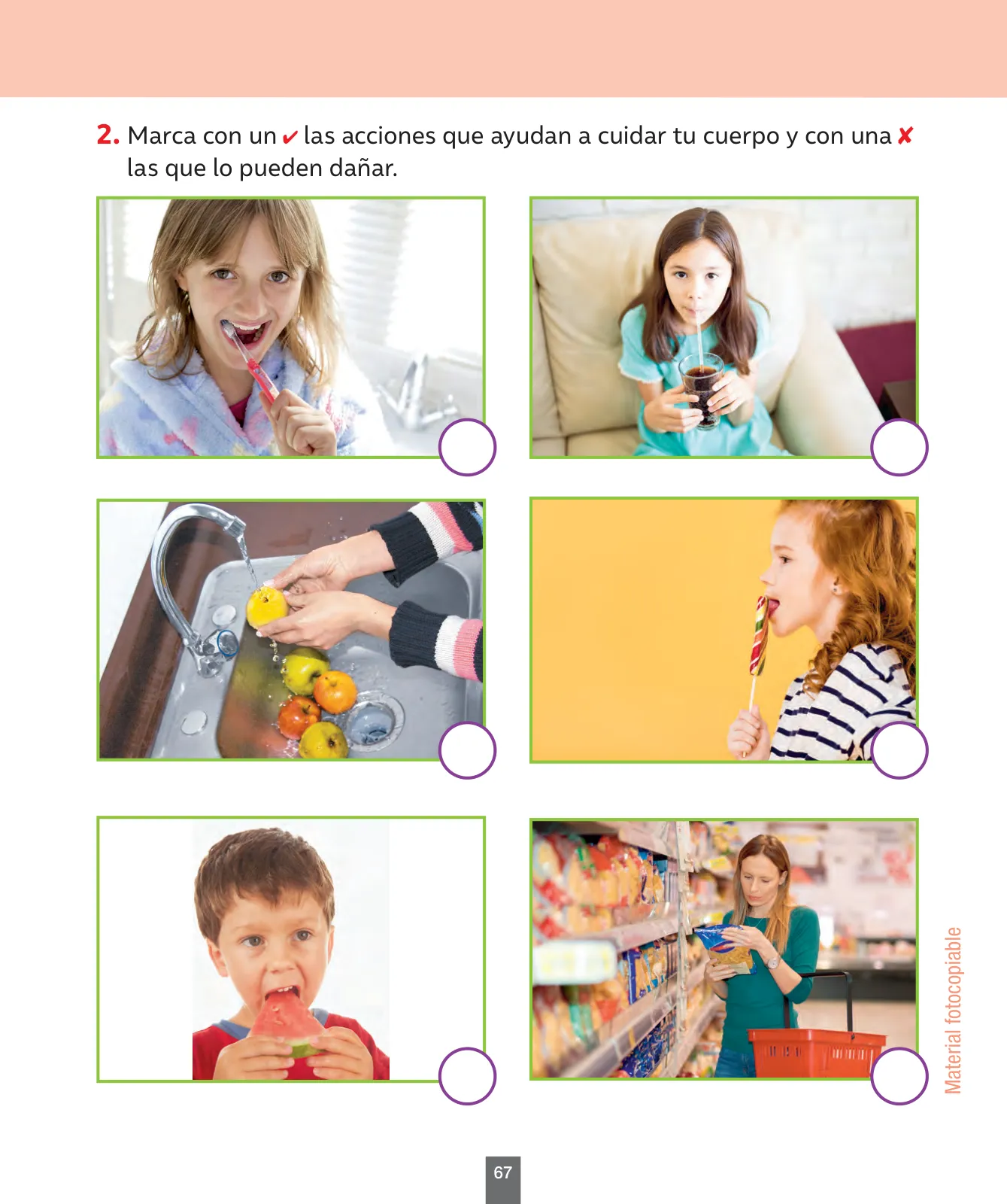 Página 68 de Ciencias Naturales – Primero Básico | Texto del Estudiante (MINEDUC) – Descargar PDF · 2024