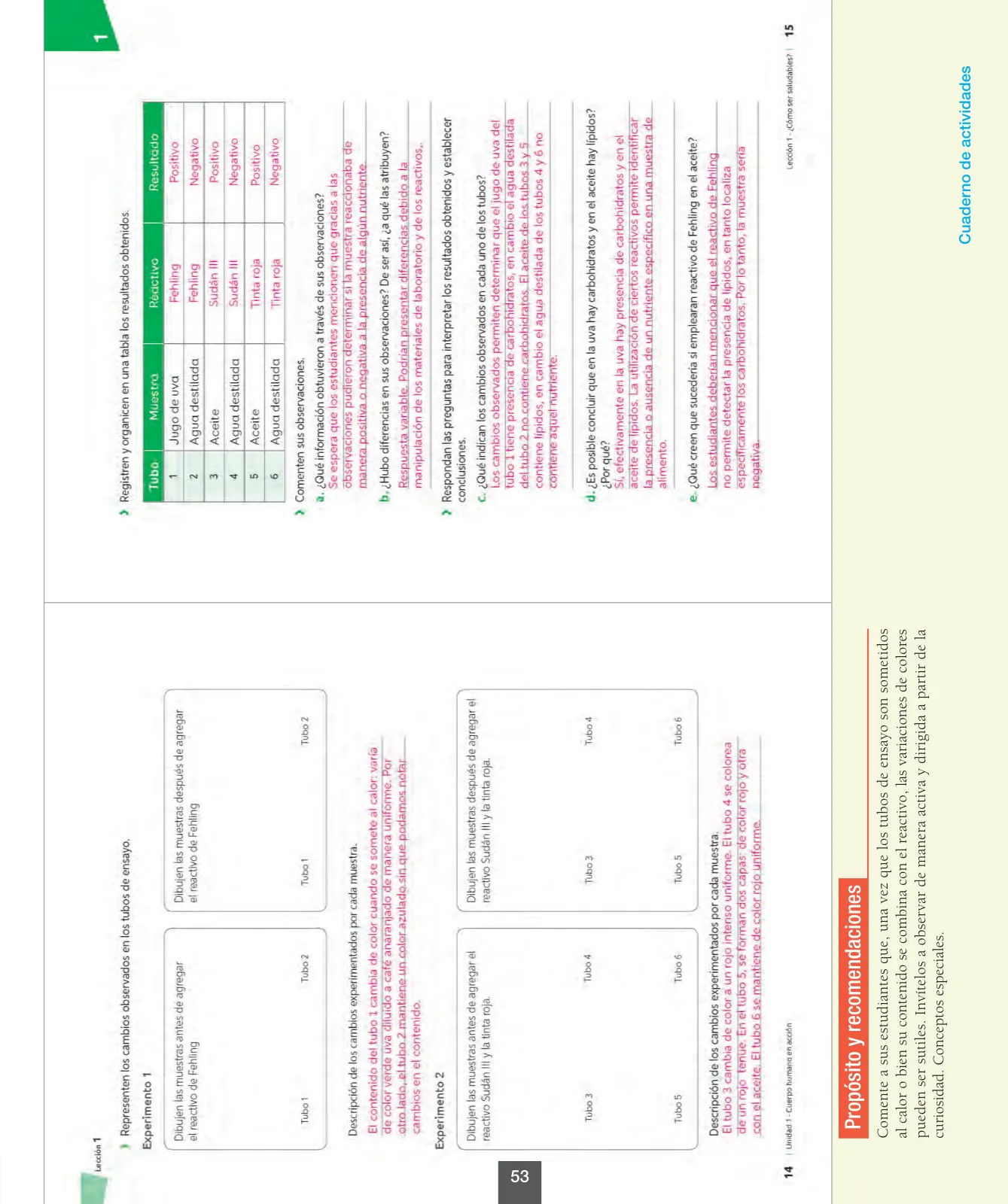 Página 54 de Ciencias Naturales – Octavo Básico | Texto del Estudiante MINEDUC – Descargar PDF · 2024