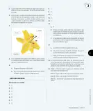 Miniatura página 48 de Ciencias Naturales – Tercero Básico | Texto del Estudiante MINEDUC – Descargar PDF · 2024