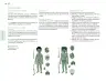 Miniatura página 125 de Posibilidades de trabajo para la acción transformadora y el codiseño. Ficheros. Fase 2  Libro de Educación Preescolar Grado 1°, 2°, 3°  Ciclo Escolar 2025 - 2026
