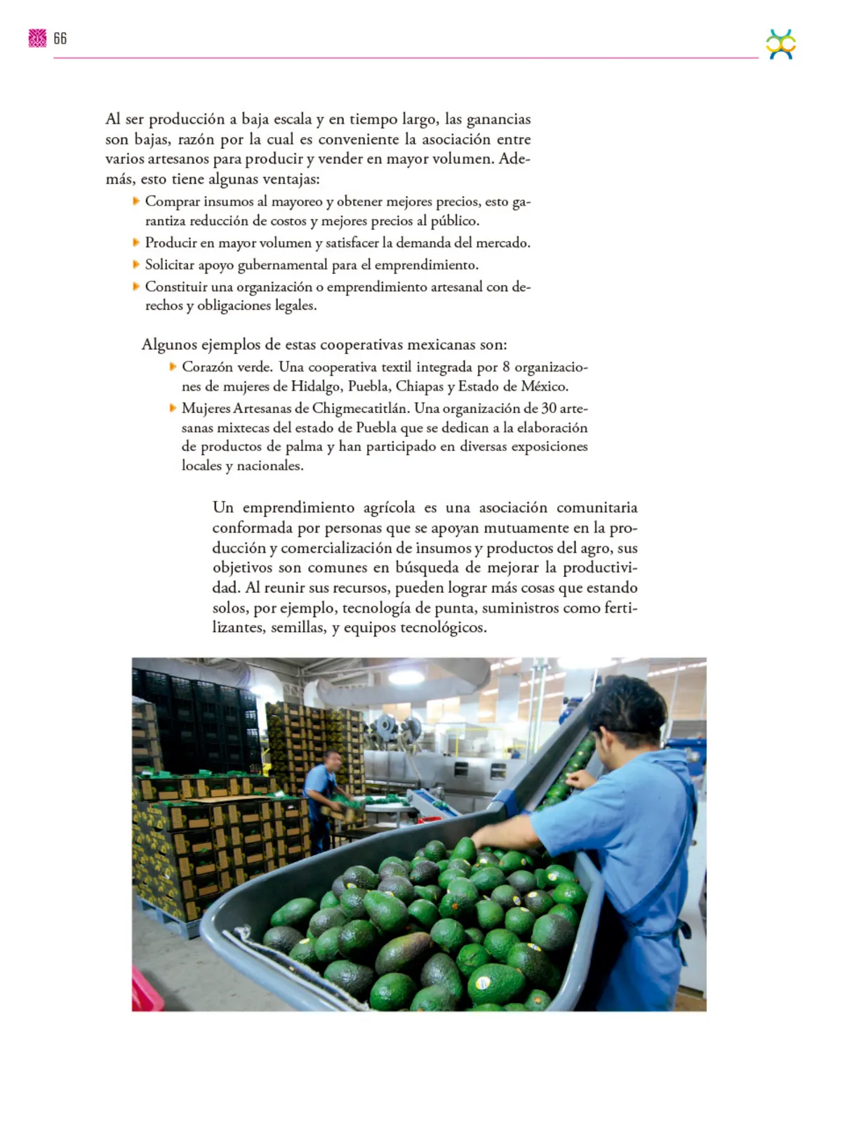 Miniatura página 67 de Colección Nanahuatzin. De lo humano y lo comunitario.   Libro de Educación Secundaria Grado 3°  Ciclo Escolar 2025 - 2026