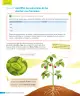 Miniatura página 57 de Ciencias Naturales – Tercero Básico | Texto del Estudiante MINEDUC – Descargar PDF · 2024