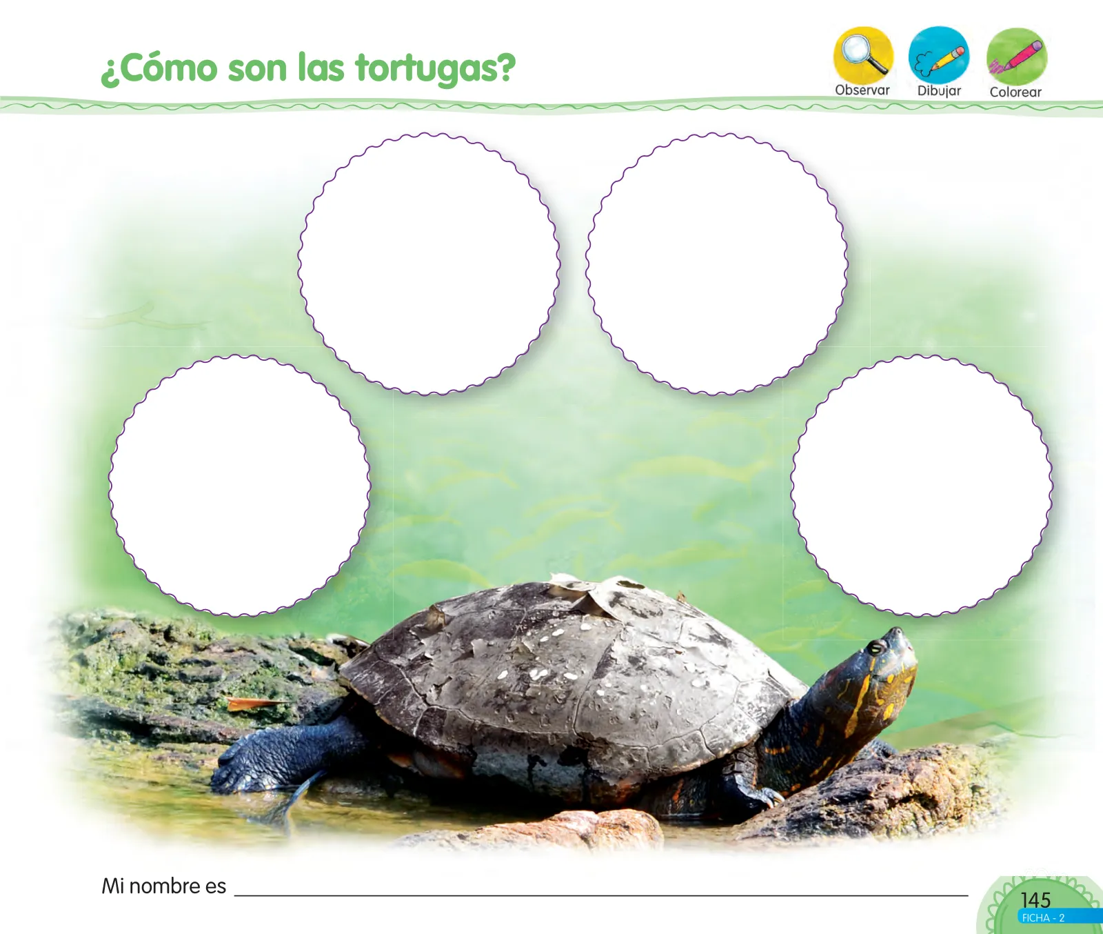 Miniatura página 147 de Aprendemos jugando : cuaderno de trabajo, 5 años · 2016