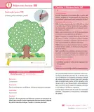 Miniatura página 19 de Sumo Primero – Segundo Básico | Texto del Estudiante MINEDUC – Descargar PDF · 2024