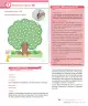 Miniatura página 19 de Sumo Primero – Segundo Básico | Texto del Estudiante MINEDUC – Descargar PDF · 2024