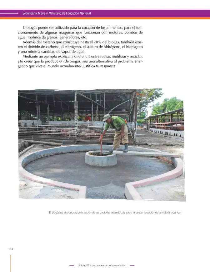 Página 154 de Ciencias Naturales 9° · Secundaria Activa