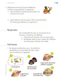 Miniatura página 50 de Proyectos de Aula.   Libro de Educación Primaria Grado 1°  Ciclo Escolar 2025 - 2026