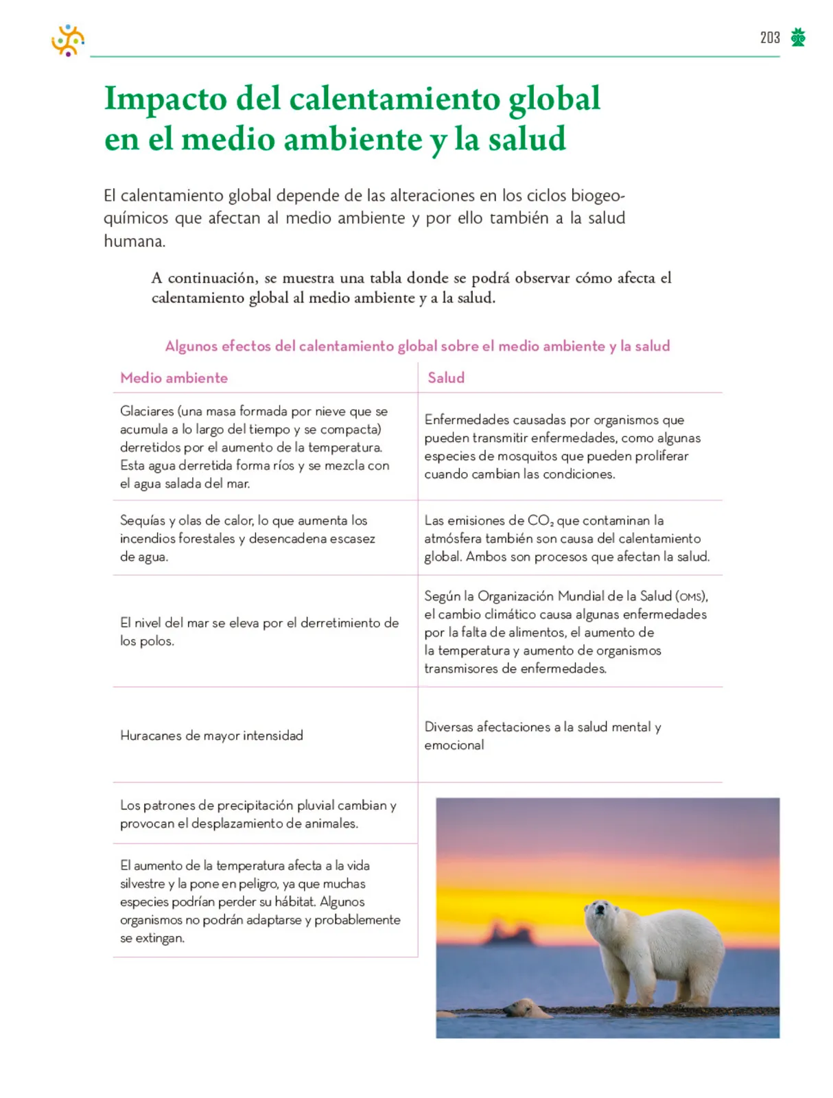 Miniatura página 204 de Colección Ximhai. Saberes y pensamiento científico.   Libro de Educación Telesecundaria Grado 1°  Ciclo Escolar 2025 - 2026